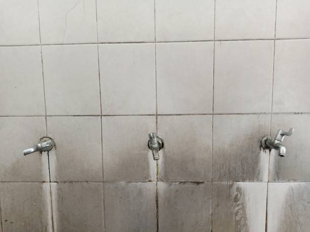 Best Flooded house restoration  in Cottage Grove, MN