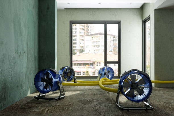 Best Professional water damage repair  in Cottage Grove, MN